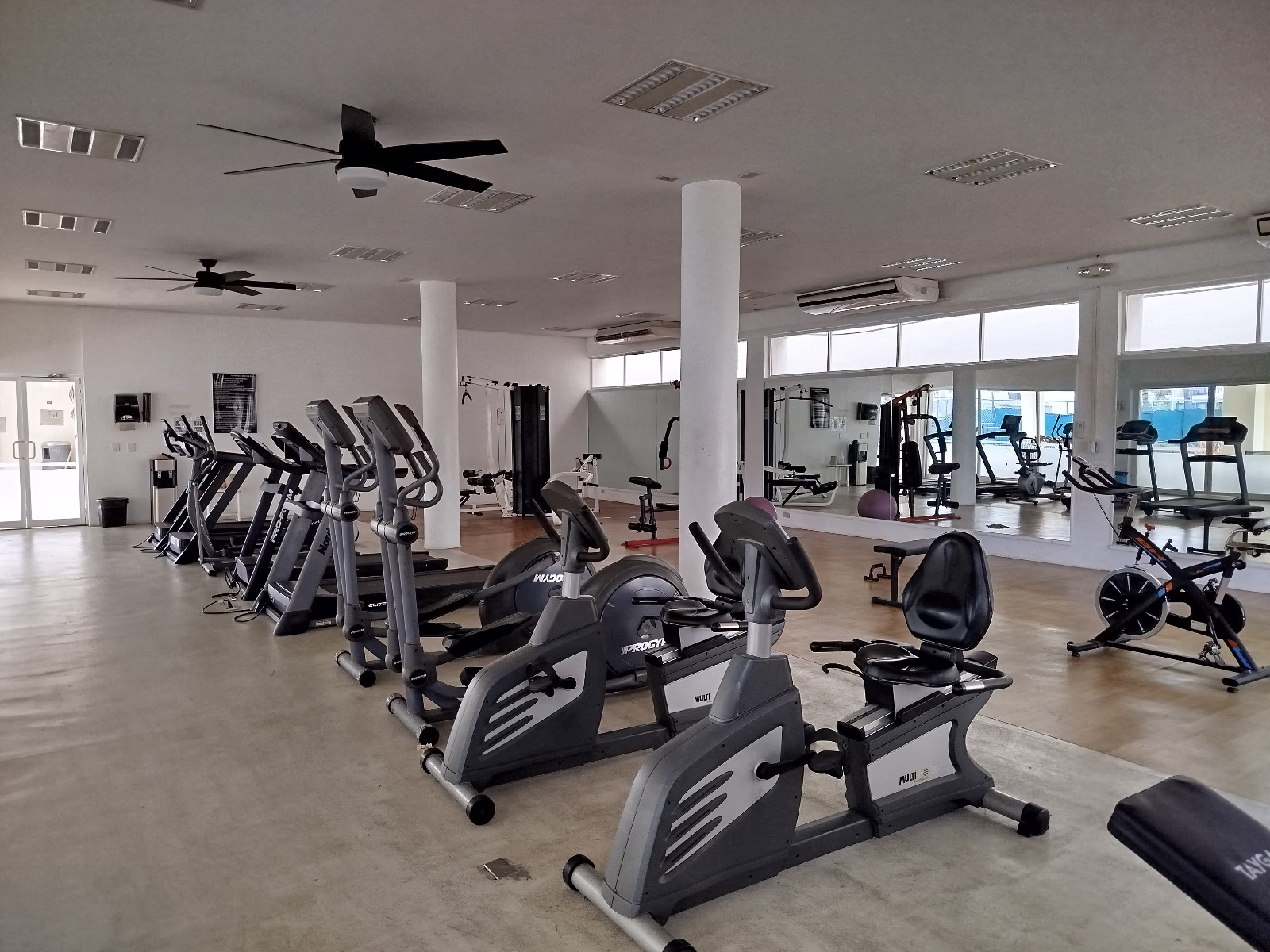 Gimnasio 1